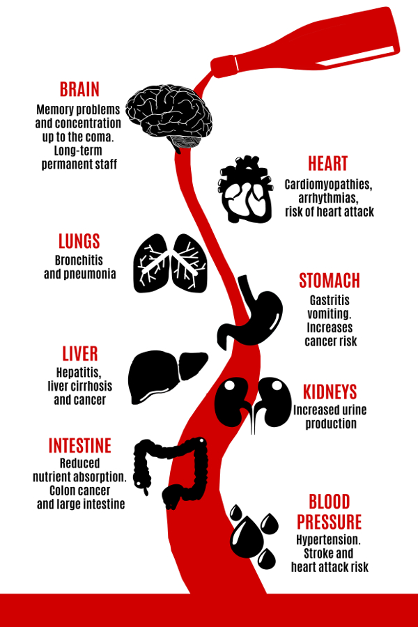 The Physical Effects of Alcohol • Mike Rucker, Ph.D.