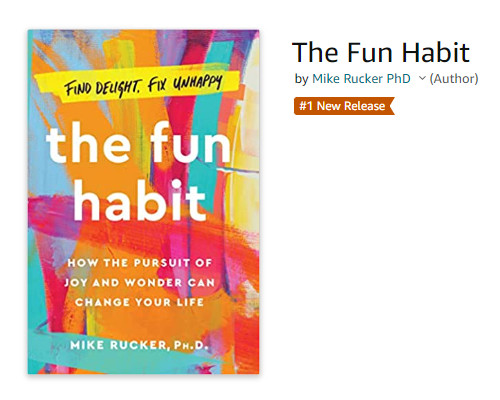 The Fun Habit | Best Seller | 2023
